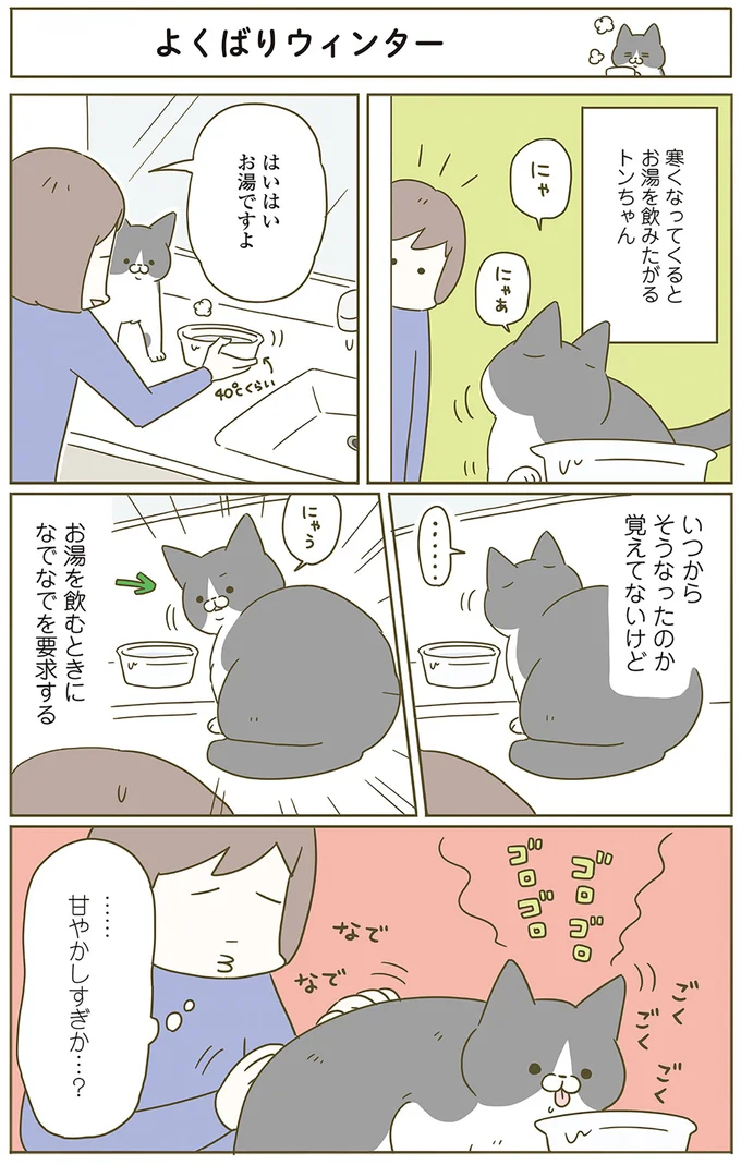 『うちの猫がまた変なことしてる。』 12555598.webp