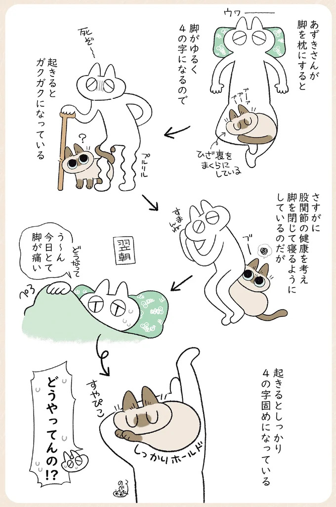 うちの猫はおしゃべり大好き！ 話しかけられたと思ったら...あれ？／やっぱり!!!!! シャム猫あずきさん 12853560.webp