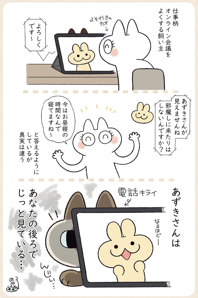 うちの猫はおしゃべり大好き！ 話しかけられたと思ったら...あれ？／やっぱり!!!!! シャム猫あずきさん 12853561.webp