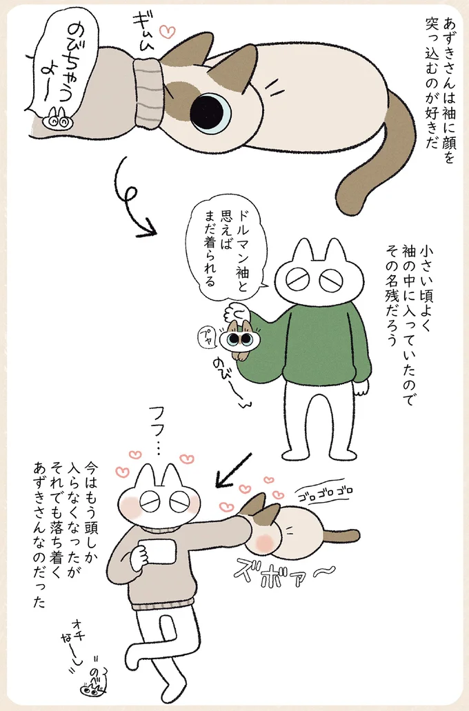 うちの猫はおしゃべり大好き！ 話しかけられたと思ったら...あれ？／やっぱり!!!!! シャム猫あずきさん 12853562.webp