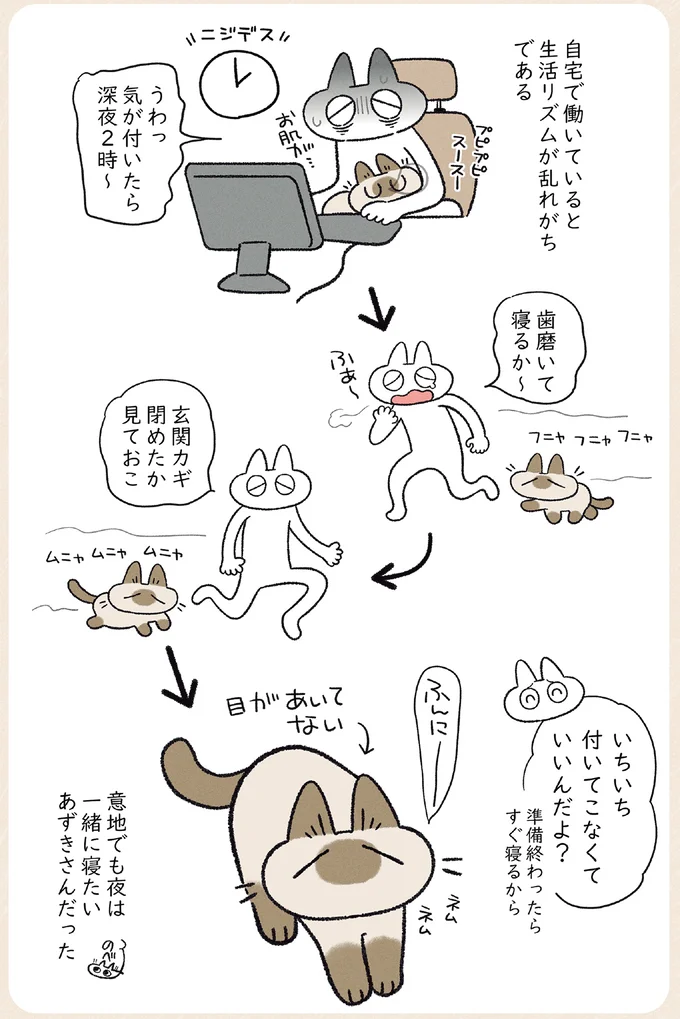 ストーカー猫のかわいらしさ。夜は意地でも飼い主と寝たいうちの猫／やっぱり!!!!! シャム猫あずきさん 12860087.webp