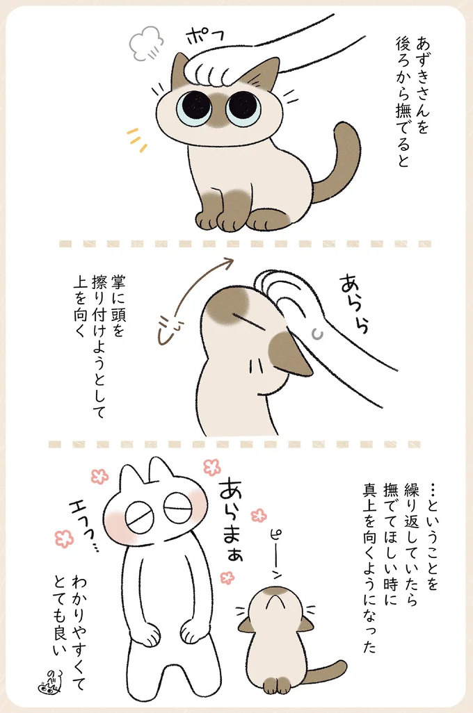 ストーカー猫のかわいらしさ。夜は意地でも飼い主と寝たいうちの猫／やっぱり!!!!! シャム猫あずきさん 12860089.webp