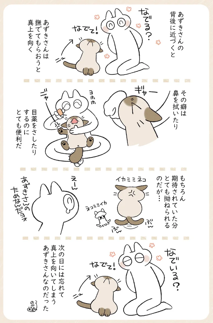 ストーカー猫のかわいらしさ。夜は意地でも飼い主と寝たいうちの猫／やっぱり!!!!! シャム猫あずきさん 12860090.webp