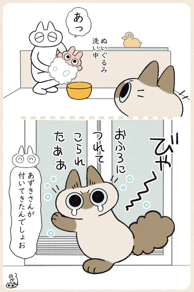 猫は想像以上に表情豊か。いつもと違うキャットフードを出したら／やっぱり!!!!! シャム猫あずきさん 12860552.webp