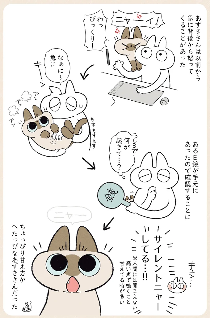 うちの猫が背後から怒ってくる原因は？その「かわいい理由」にキュン／やっぱり!!!!! シャム猫あずきさん 12860800.webp