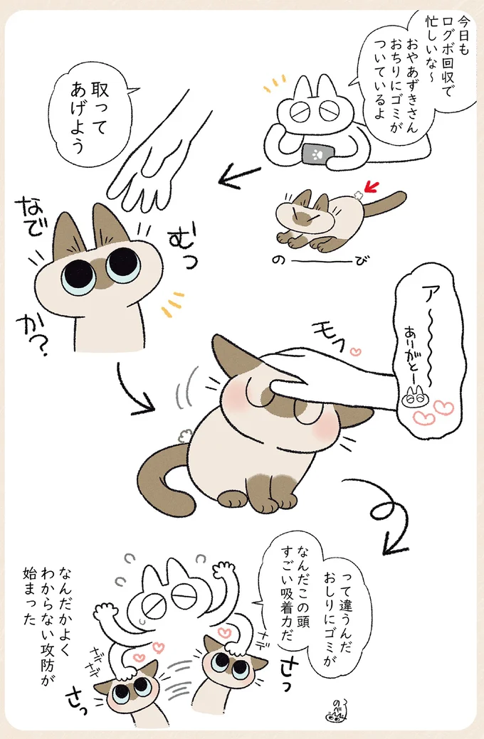 うちの猫が背後から怒ってくる原因は？その「かわいい理由」にキュン／やっぱり!!!!! シャム猫あずきさん 12860802.webp