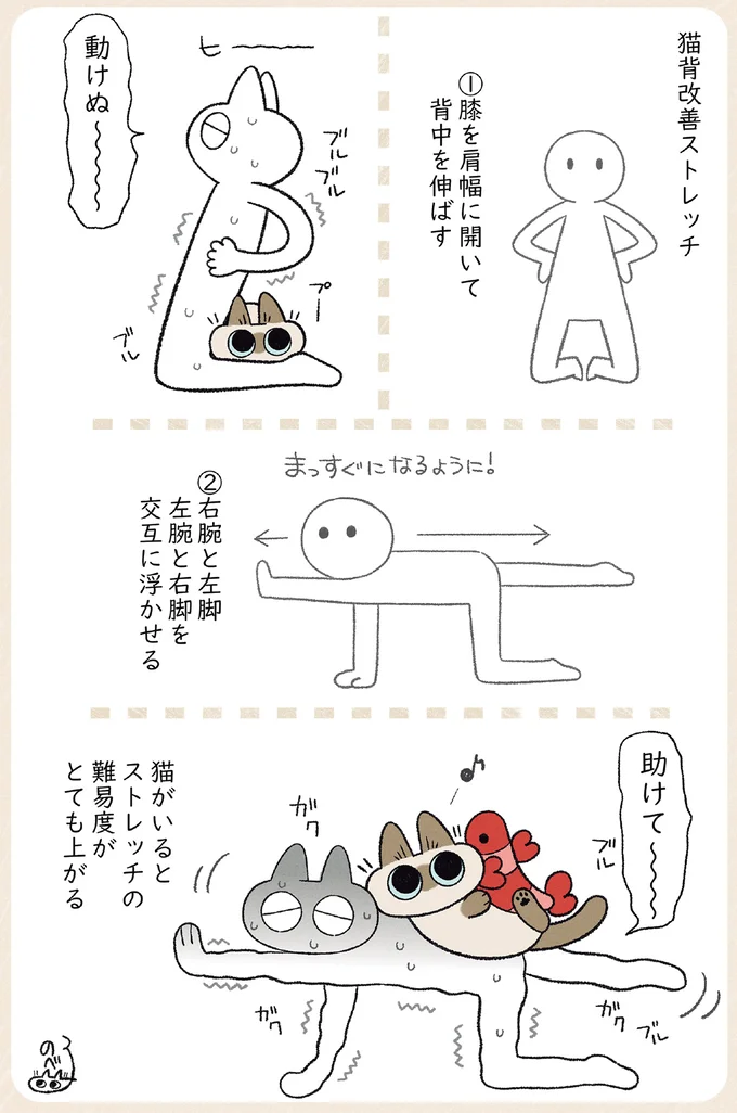 うちの猫が背後から怒ってくる原因は？その「かわいい理由」にキュン／やっぱり!!!!! シャム猫あずきさん 12860803.webp