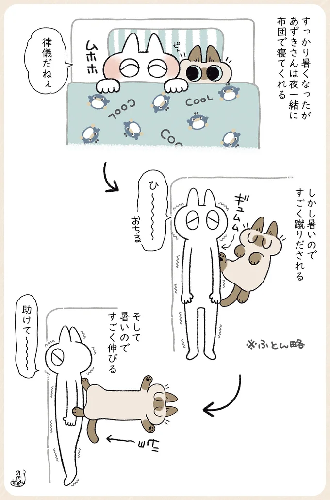 夏でも夜は一緒に寝る愛猫。でも暑いからって...え？／やっぱり!!!!! シャム猫あずきさん 12860989.webp