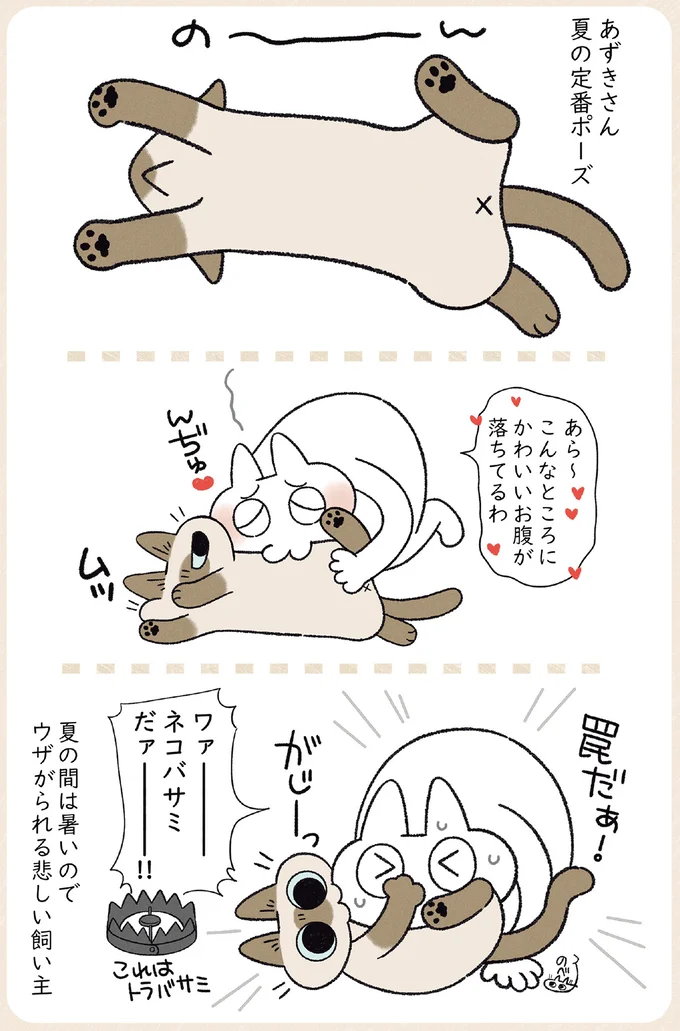 夏でも夜は一緒に寝る愛猫。でも暑いからって...え？／やっぱり!!!!! シャム猫あずきさん 12860990.webp