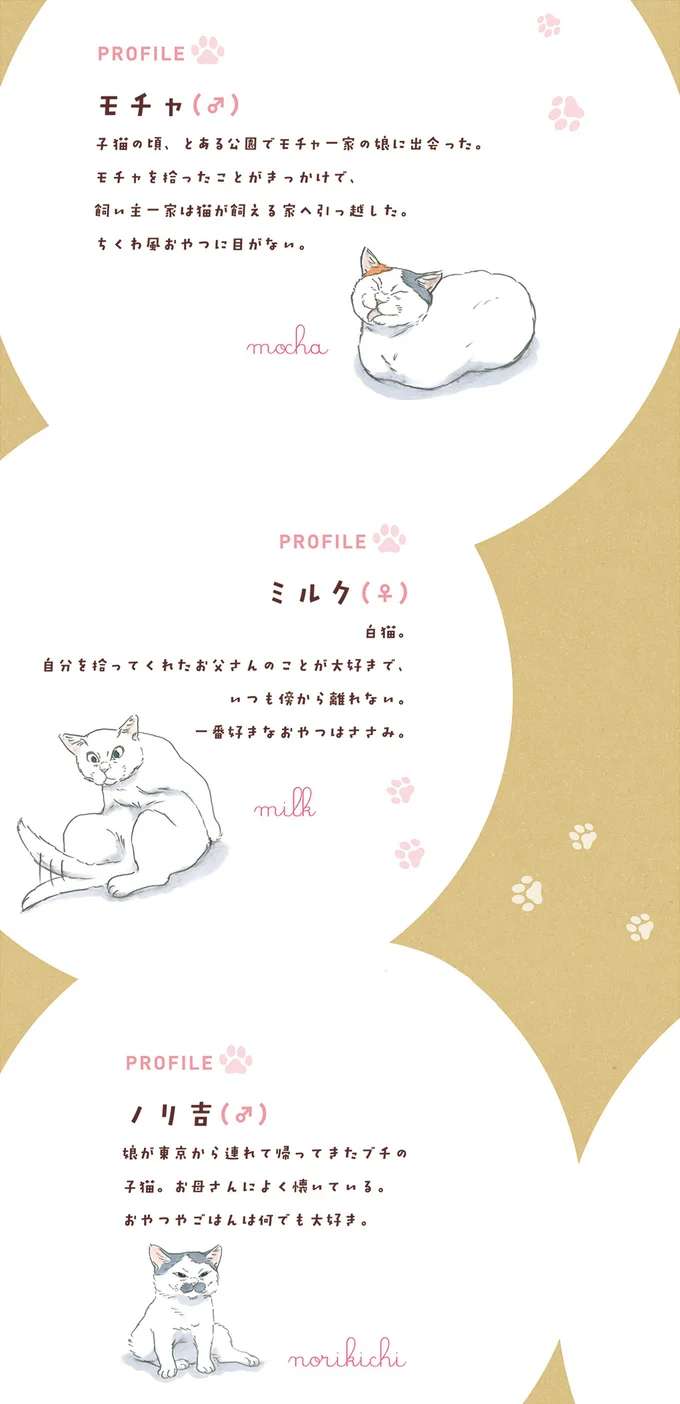 『拾い猫のモチャ1～8』 12975674.webp