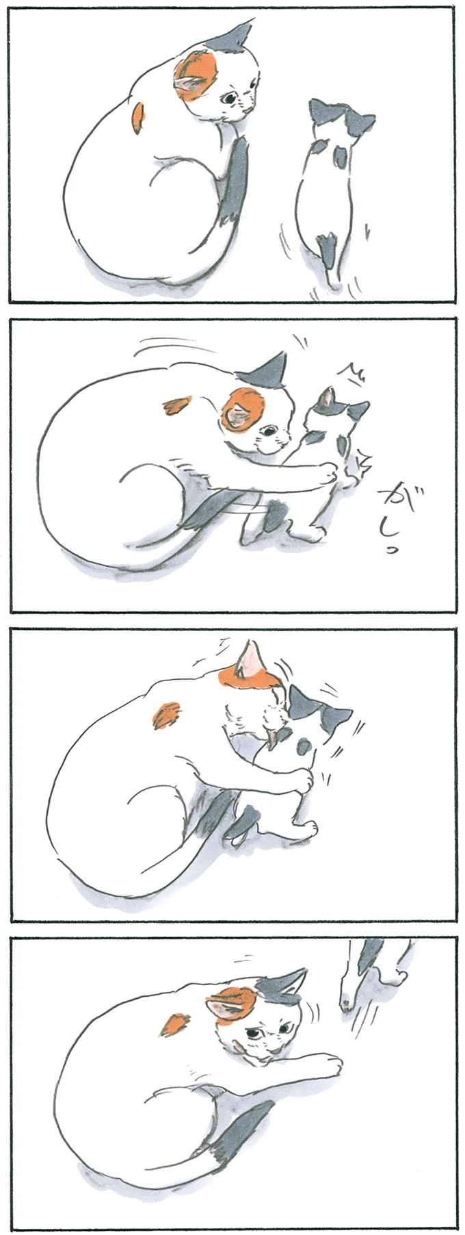 『拾い猫のモチャ1～8』 12975922.webp