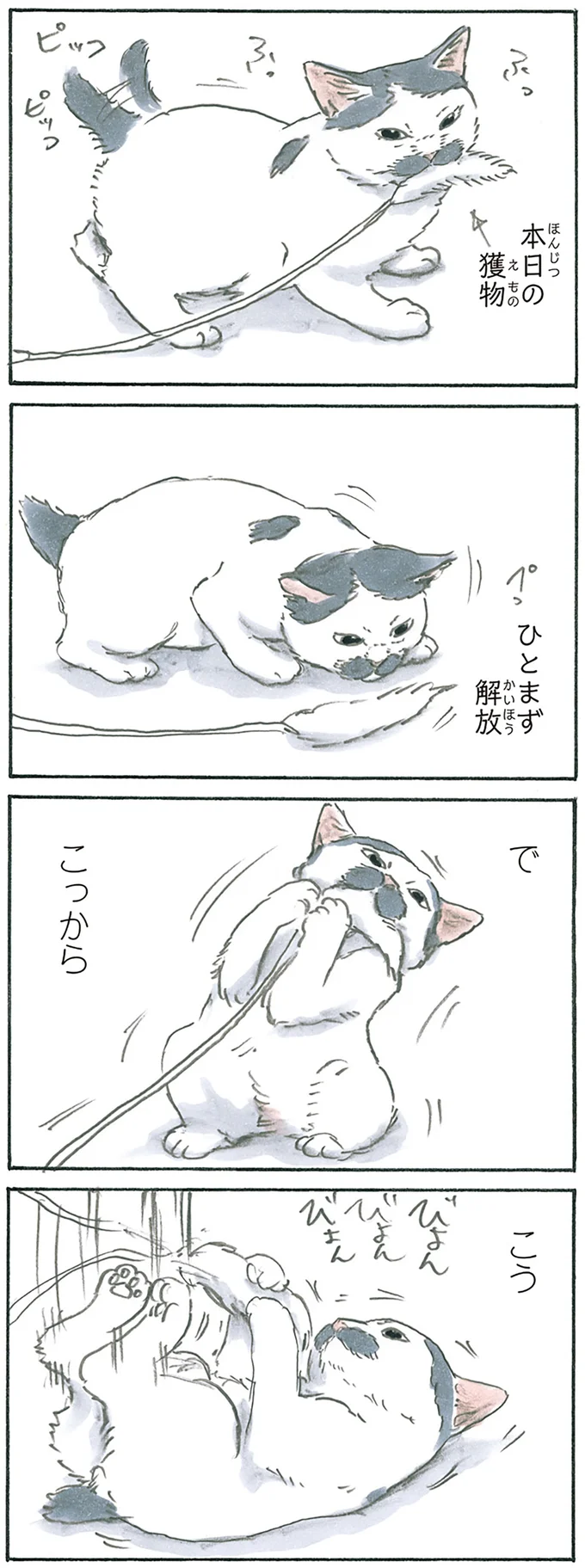 『拾い猫のモチャ1～8』 12975923.webp