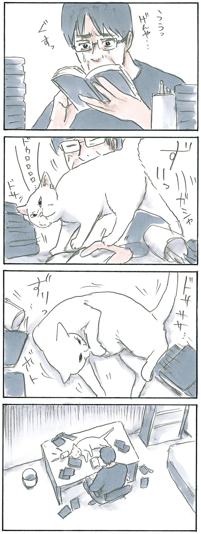 『拾い猫のモチャ1～8』 12975963.webp