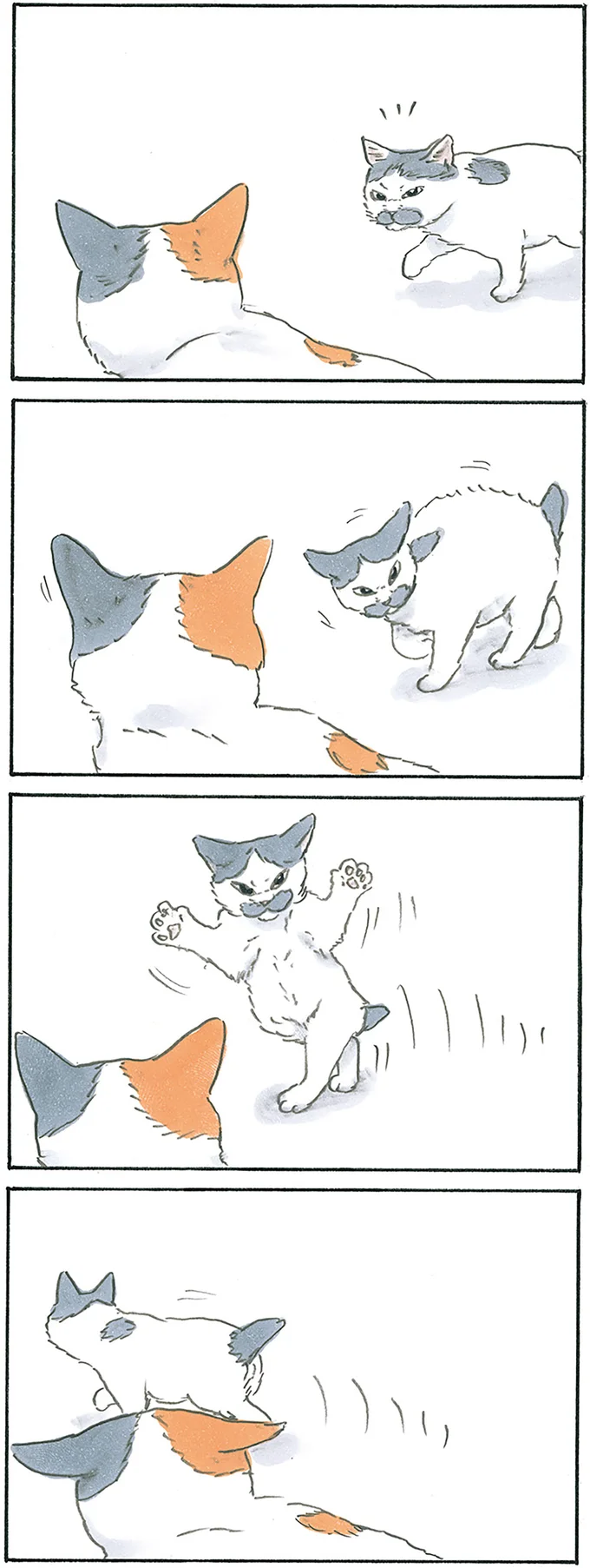 『拾い猫のモチャ1～8』 12975965.webp