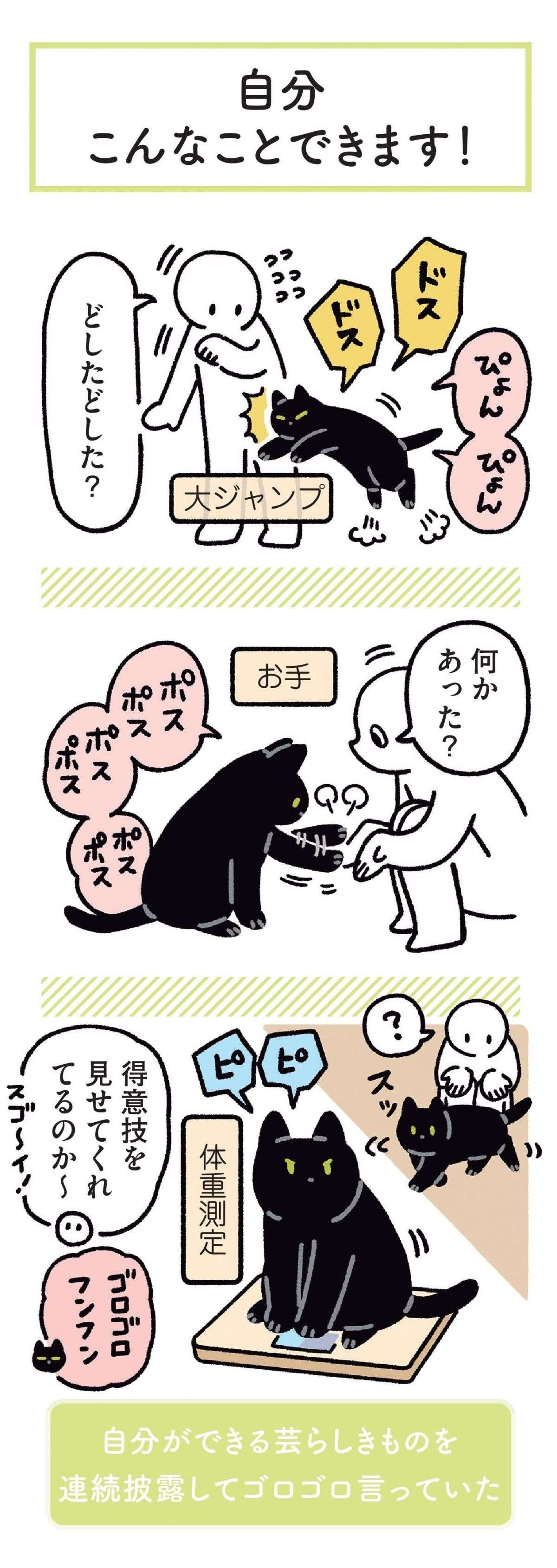 猫にこんなことされたら...‼　飼い主がしゃがむとほっぺに／黒猫ろんと暮らしたら 13.jpg