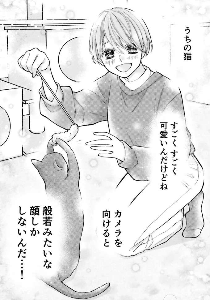 「般若...？」猫の飼い主あるある。かわいい姿を写真に撮ろうとすると ／少女漫画ぽく愚痴る。 13134437.jpeg