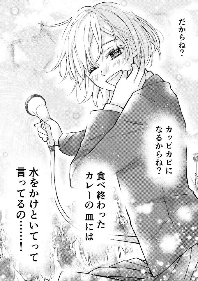 「だからね？ 言ってるの」カレーを食べ終わったら...！／少女漫画ぽく愚痴る。 13134439.jpeg