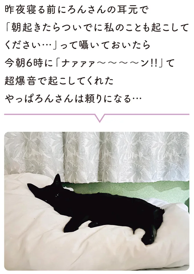 愛猫に「朝起こして」と伝えると、飼い主が起きるまでひたすら...／黒猫ろんと暮らしたら 13202089.webp