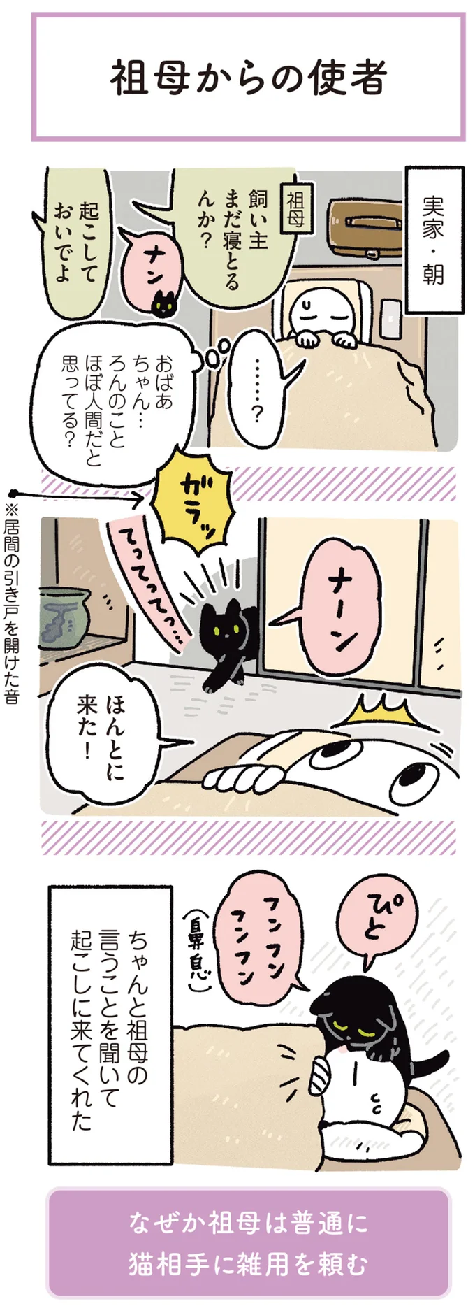 「ほぼ人間だと思ってる？」愛猫をパシリにする祖母と従う彼／黒猫ろんと暮らしたら 13202110.webp