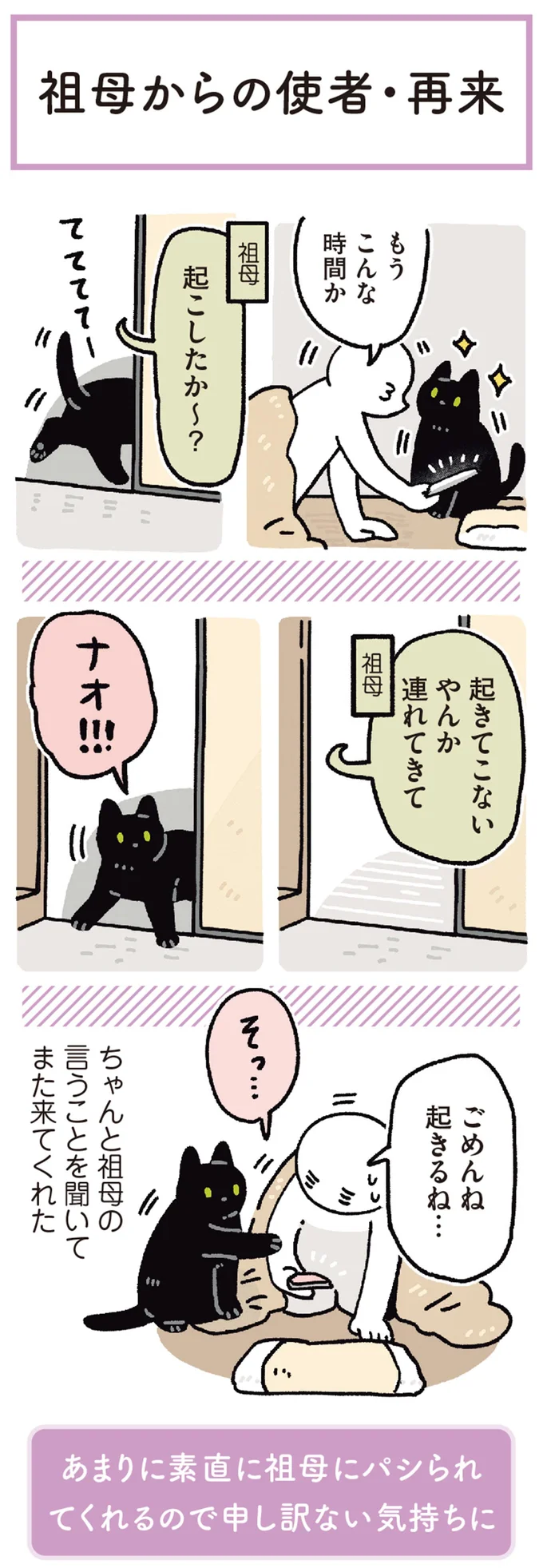 「ほぼ人間だと思ってる？」愛猫をパシリにする祖母と従う彼／黒猫ろんと暮らしたら 13202111.webp