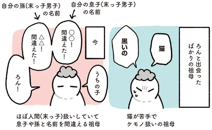 「ほぼ人間だと思ってる？」愛猫をパシリにする祖母と従う彼／黒猫ろんと暮らしたら 13202112.webp