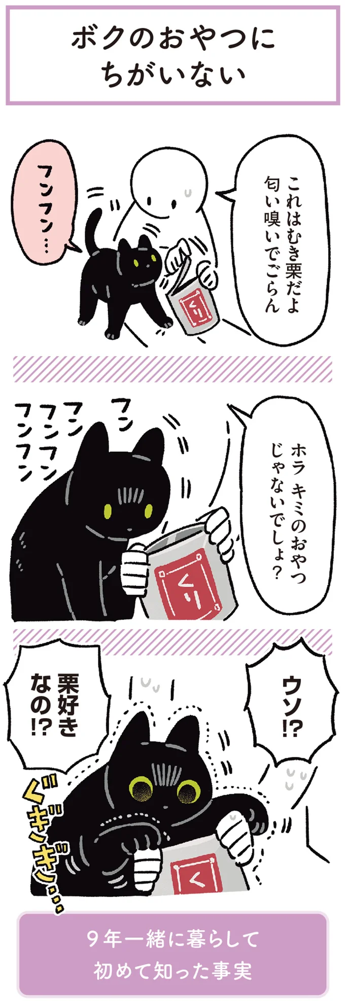 「ボクのおやつ？」うちの猫は、おかしの袋を開ける音に反応。異様に執着したのは／黒猫ろんと暮らしたら 13202133.webp