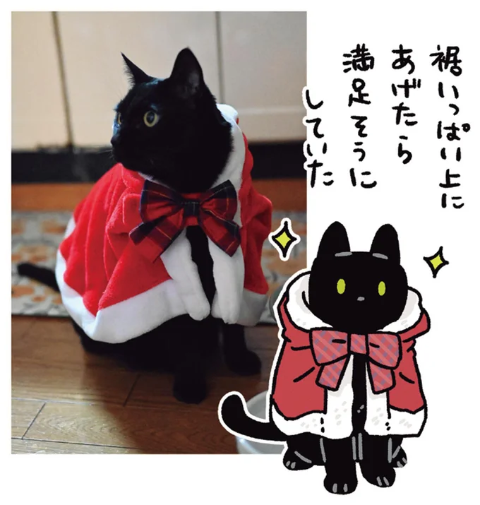 「ボクのおやつ？」うちの猫は、おかしの袋を開ける音に反応。異様に執着したのは／黒猫ろんと暮らしたら 13202136.webp