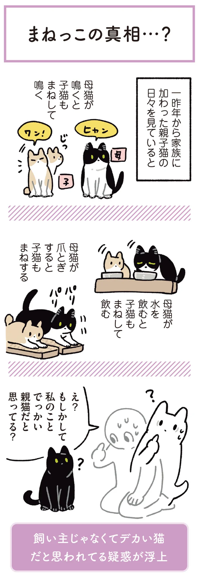 猫は「飼い主の真似をする」。えっ、こんなことまで？／黒猫ろんと暮らしたら 13202160.webp