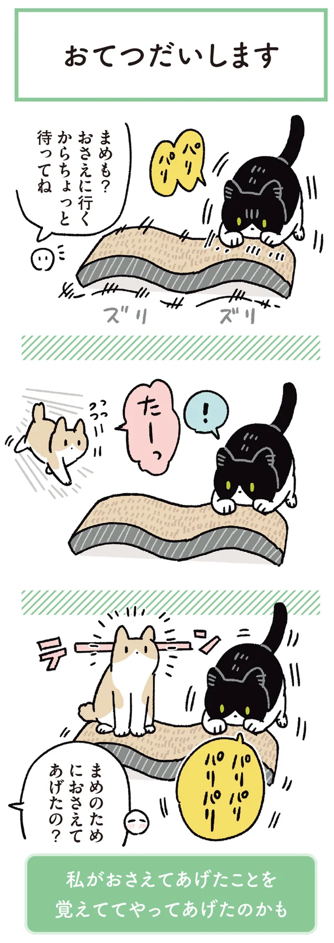 猫のかわいい「お手伝い」。飼い主が爪とぎを押さえるのを見た愛猫たちは...／黒猫ろんと暮らしたら 13202166.webp