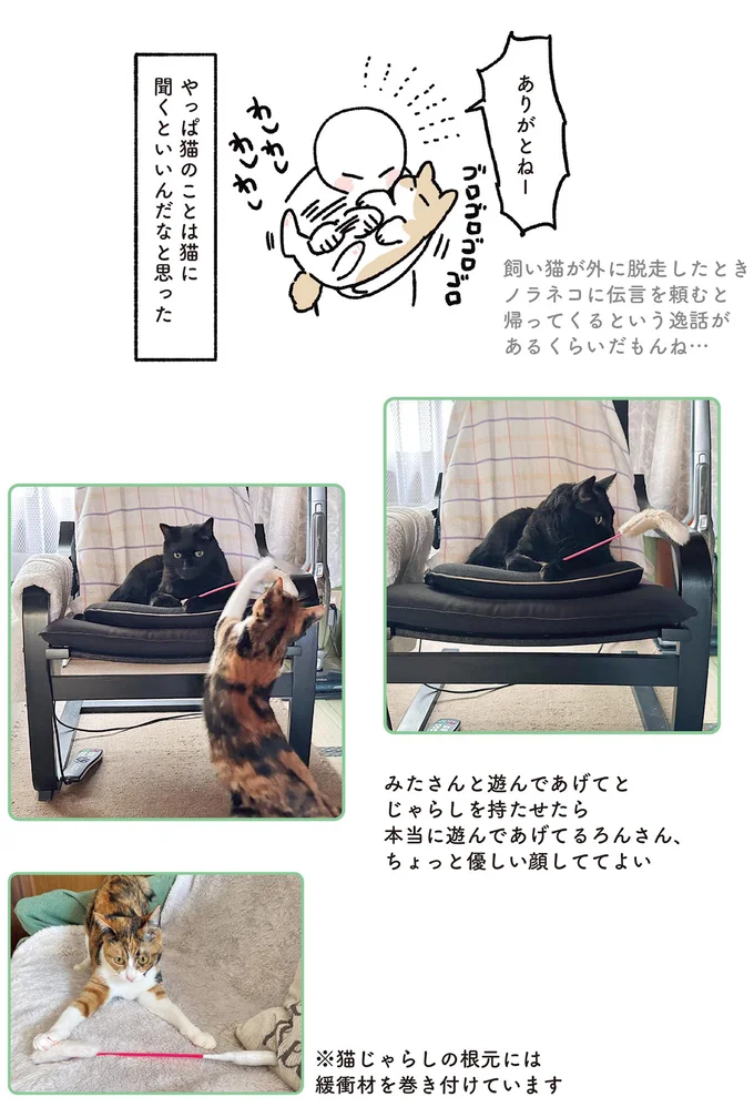 「ボクのだよ」優しい先住猫とあざとい子猫。おやつを子猫が横取りしたら...／黒猫ろんと暮らしたら 13202176.webp