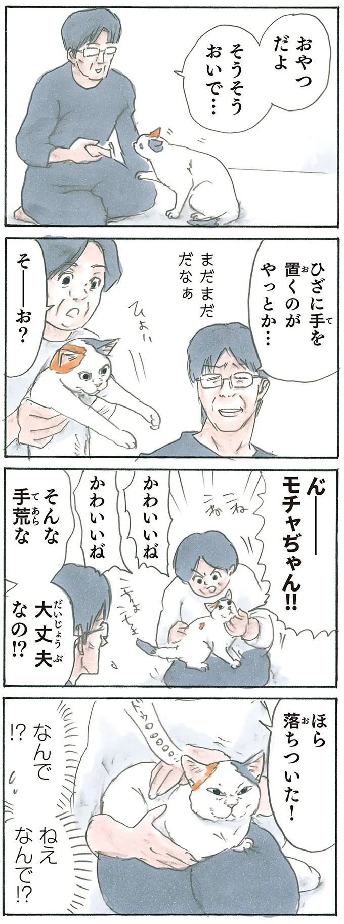 『拾い猫のモチャ1～8』 13238785.webp