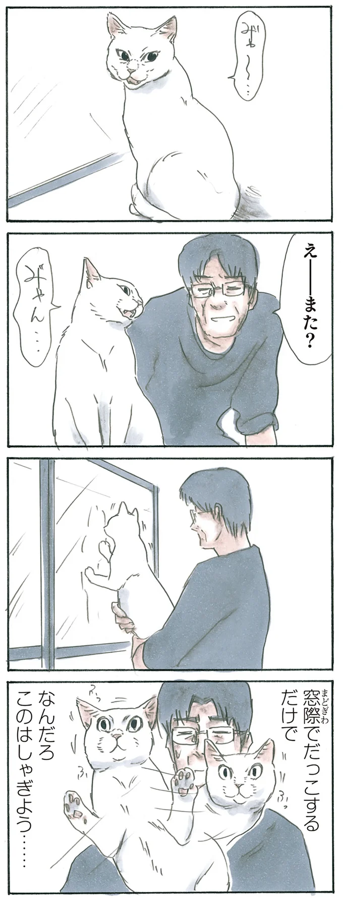 『拾い猫のモチャ1～8』 13238789.webp