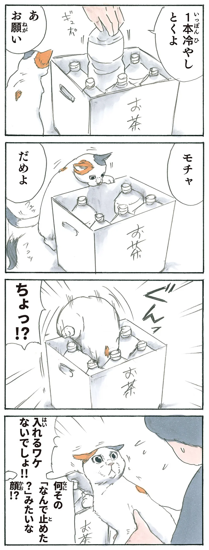 『拾い猫のモチャ1～8』 13238790.webp