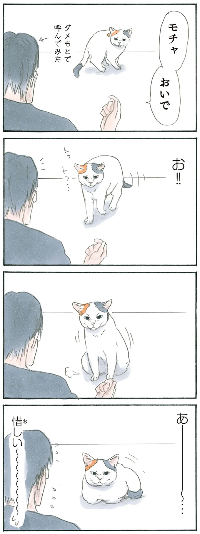 『拾い猫のモチャ1～8』 13238794.webp