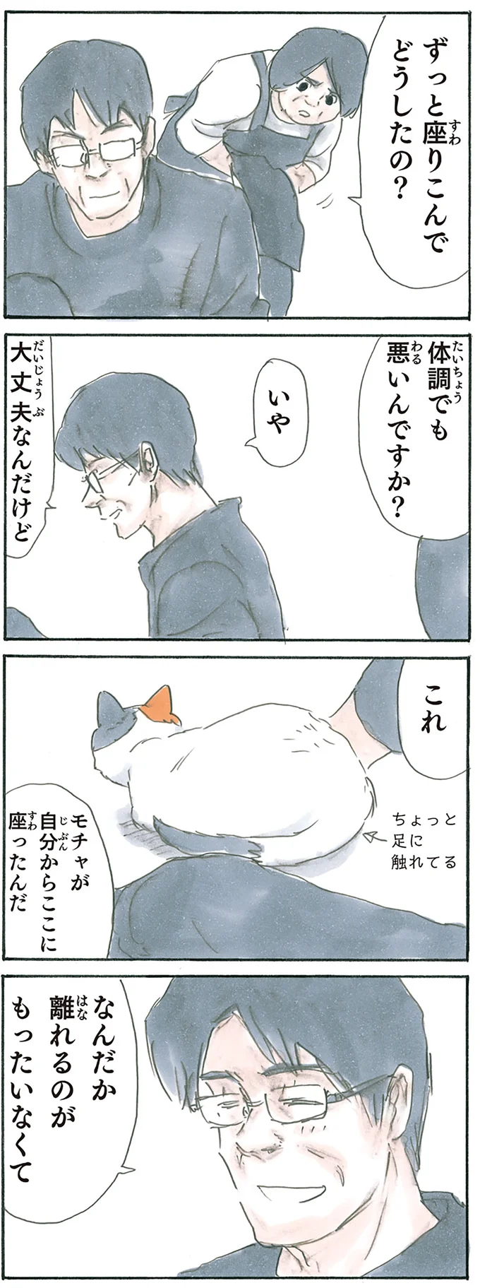 『拾い猫のモチャ1～8』 13238817.webp