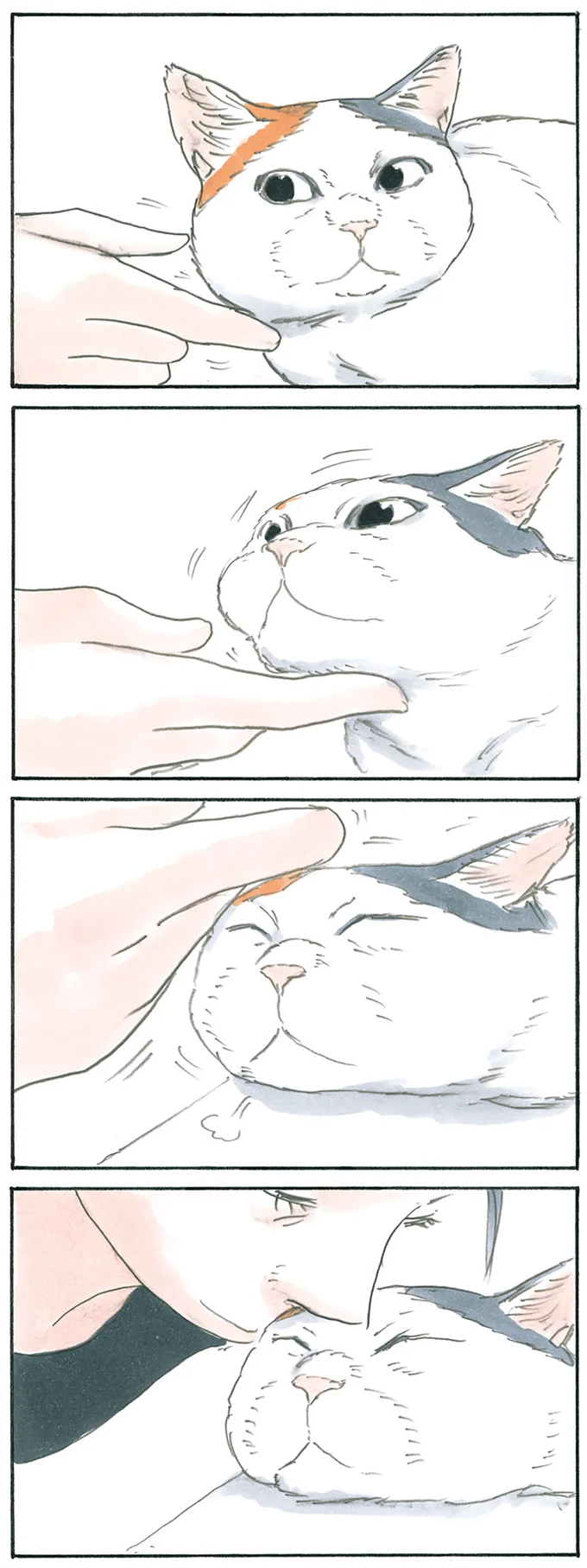 『拾い猫のモチャ1～8』 13238819.webp