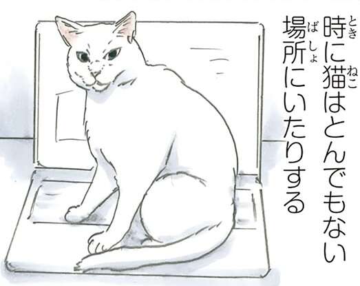 保護された猫は今日も元気です。時にはとんでもない場所でこんな顔をして...／拾い猫のモチャ5