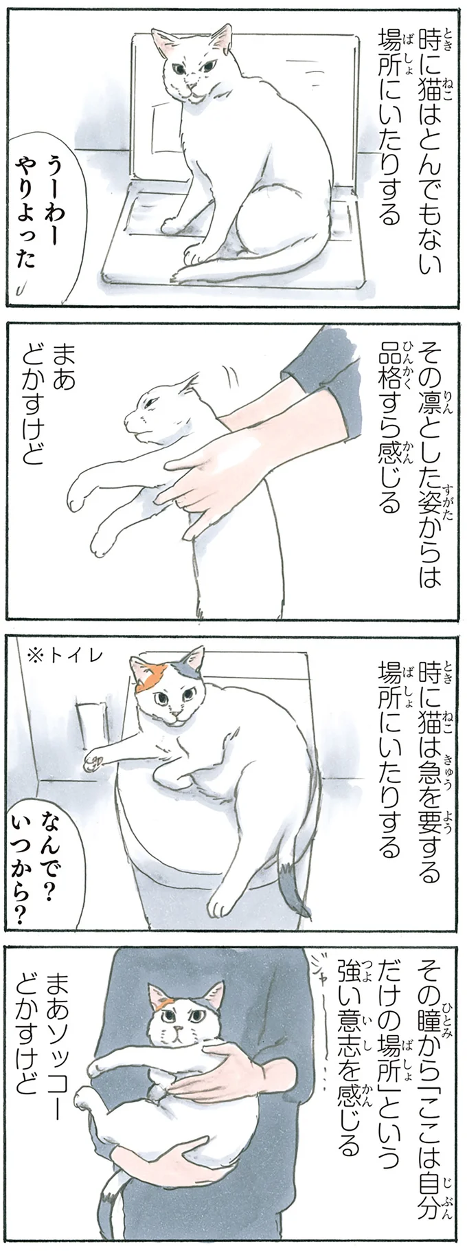 『拾い猫のモチャ1～8』 13238830.webp