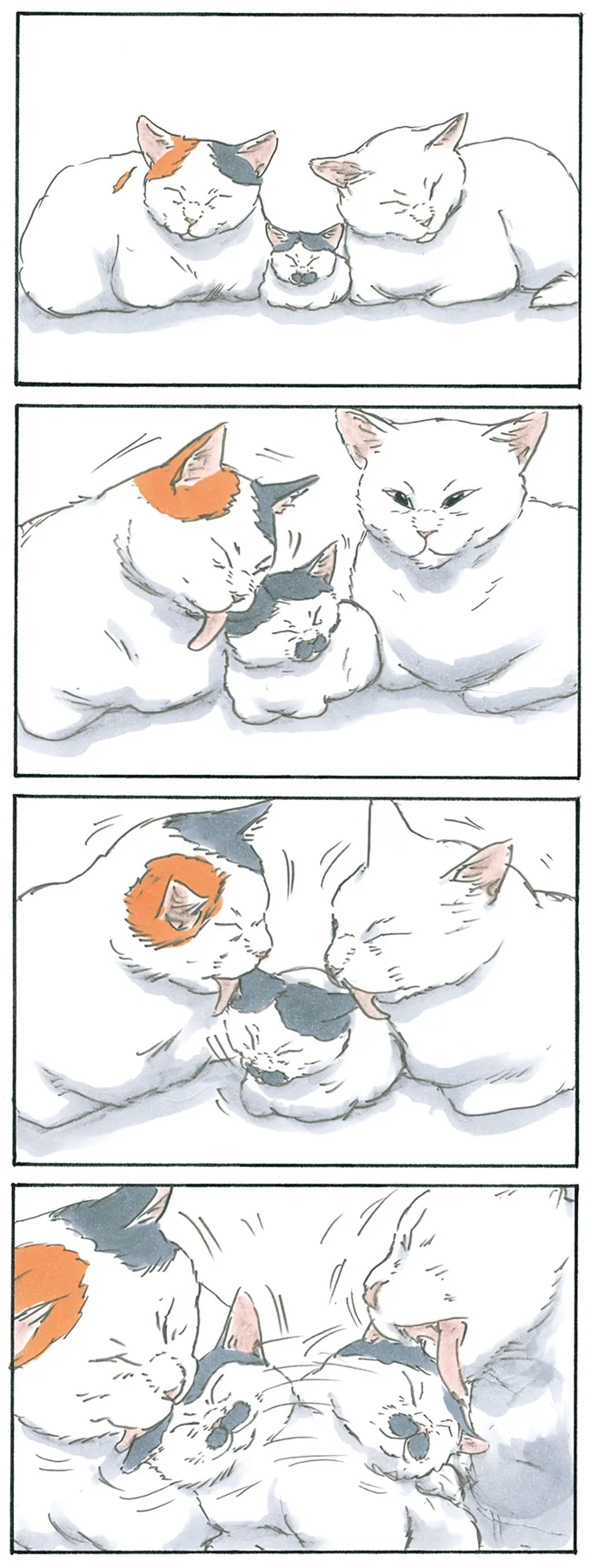 『拾い猫のモチャ1～8』 13238837.webp