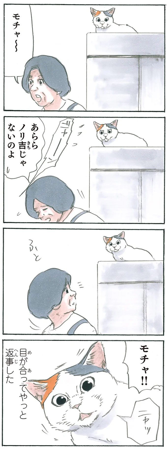 『拾い猫のモチャ1～8』 13274928.webp