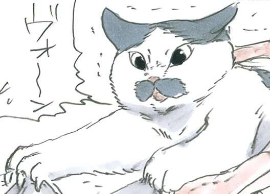 保護された子猫の「愛」。コレってこんなにうれしいんだ...／拾い猫のモチャ6