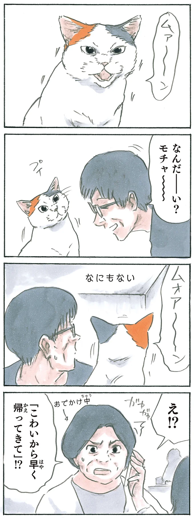 『拾い猫のモチャ1～8』 13274935.webp