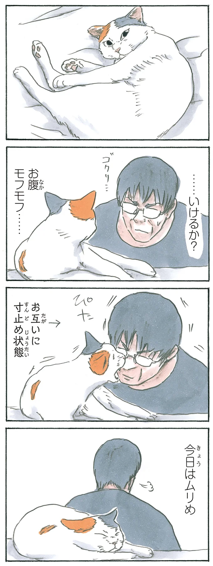 『拾い猫のモチャ1～8』 13275019.webp