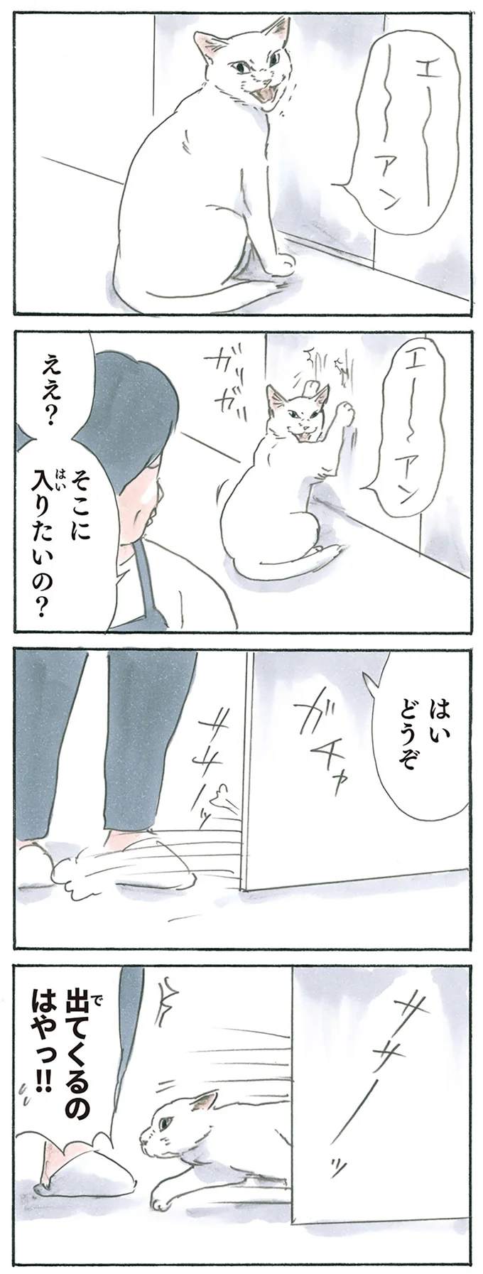 『拾い猫のモチャ1～8』 13275049.webp