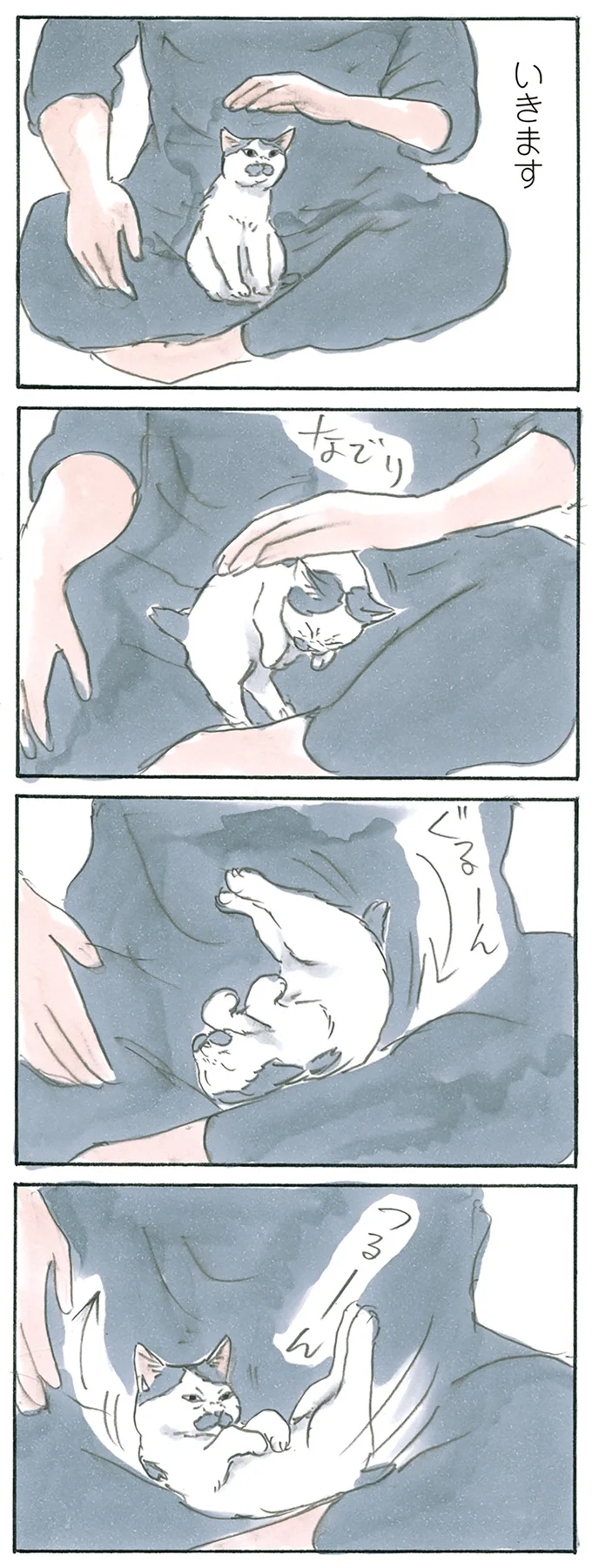 『拾い猫のモチャ1～8』 13275050.webp