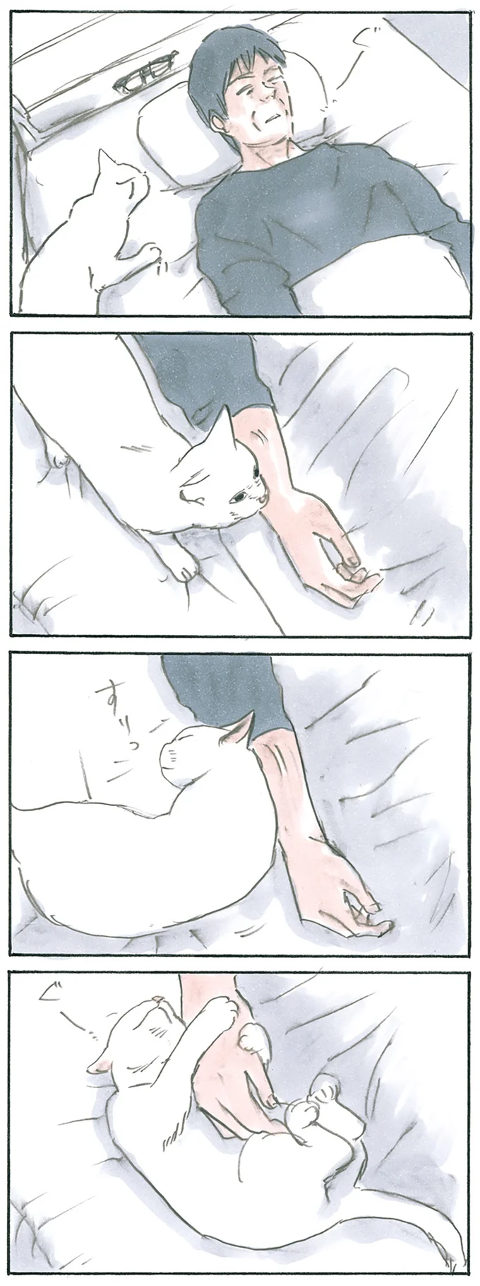 『拾い猫のモチャ1～8』 13275071.webp