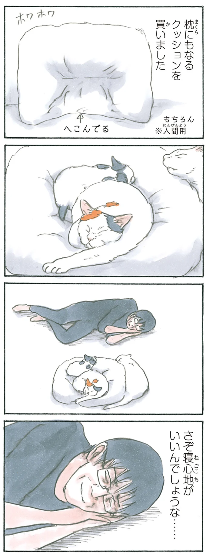 『拾い猫のモチャ1～8』 13275159.webp