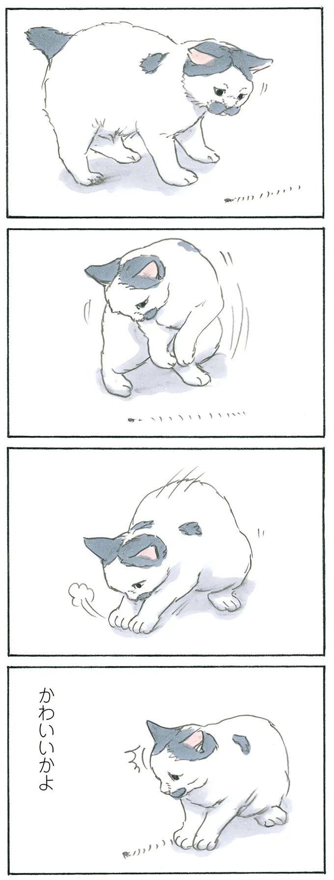 『拾い猫のモチャ1～8』 13275160.webp