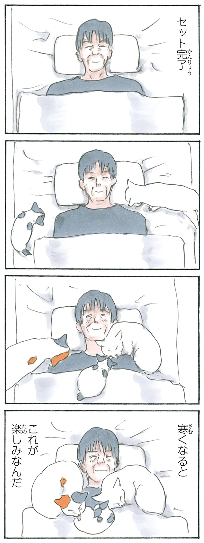 『拾い猫のモチャ1～8』 13275319.webp