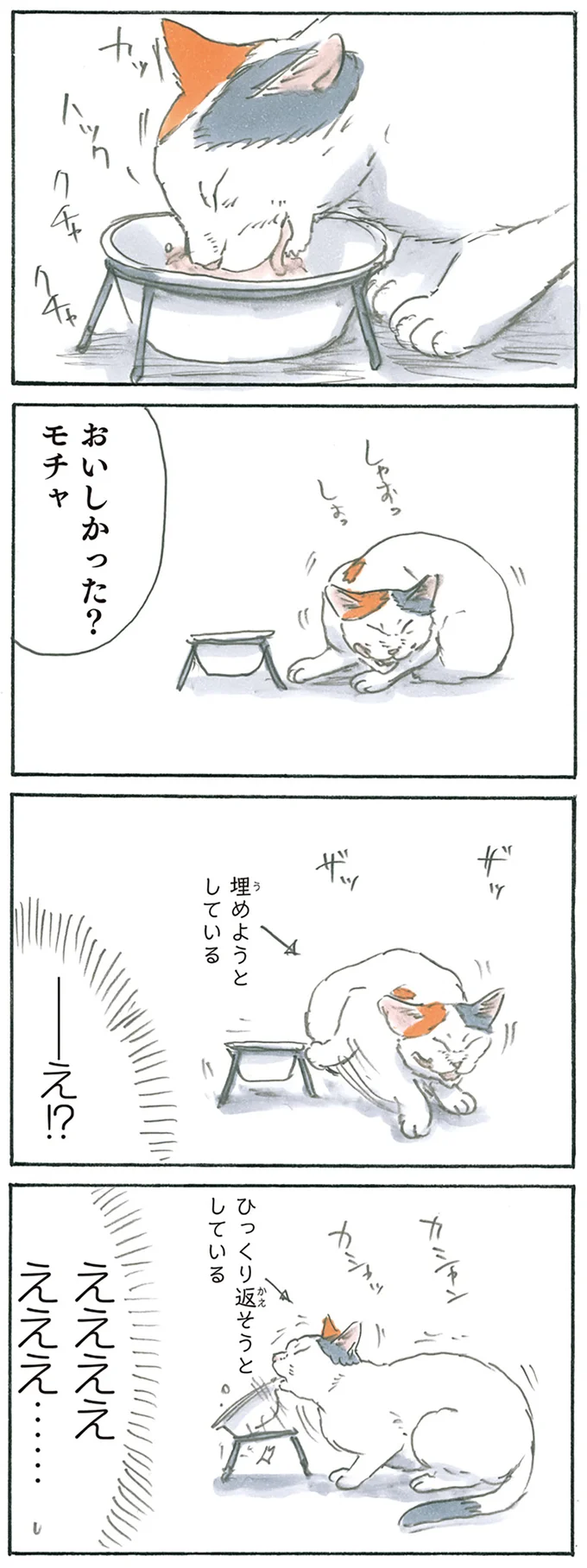 『拾い猫のモチャ1～8』 13275320.webp